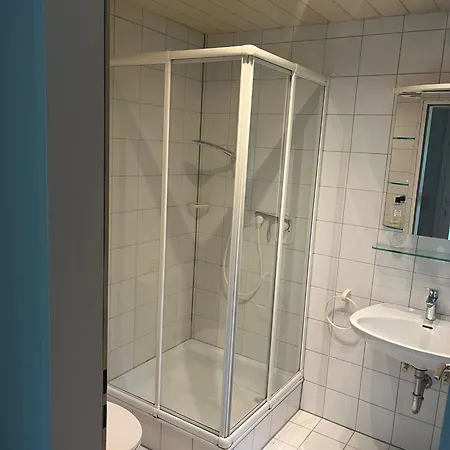 Haus Molnar 巴特塞京根