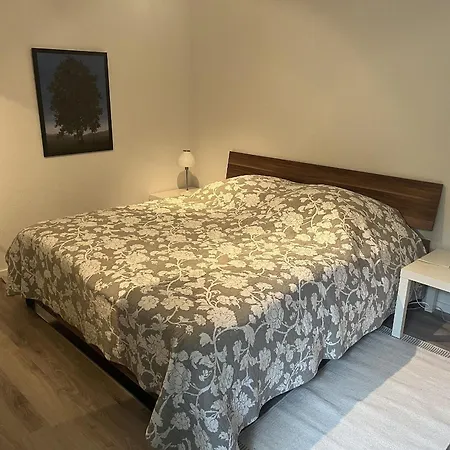 Haus Molnar 公寓 *